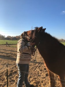 Jinnik_coaching_nieuwsbrief_2018
