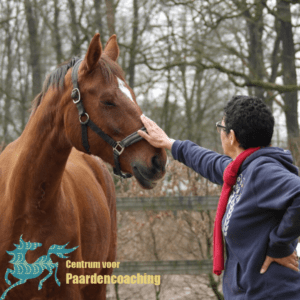 Paard Paarden Paardencoaching Coaching Persoonlijke Ontwikkeling Motivatie Pony Verdriet Blijdschap Verandering Stress Verhaal Loslaten Vertrouwen Emotie PK Ik Samen Leiden Volgen Tijd Maken Lachen Zwanger Zelfinzicht Balans Acceptatie Chronische Pijn Psychologie Automutilatie Praktijkverhaal Metoo #Metoo Boekrecensie Paardentaal Paardenboek Hart TV Coachreis Oefeningen Equiday Dialoog Mens Verlies Verwerking Zelfcompassie Groep Trauma Gevoel Ervaring Coachpaard Positief Denken
