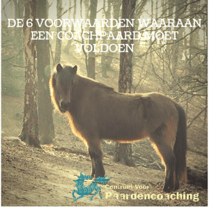 geschiktheid coachpaard-2