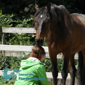 Paard Paarden Paardencoaching Coaching Persoonlijke Ontwikkeling Motivatie Pony Verdriet Blijdschap Verandering Stress Verhaal Loslaten Vertrouwen Emotie PK Ik Samen Leiden Volgen Tijd Maken Lachen Zwanger Zelfinzicht Balans Acceptatie Chronische Pijn Psychologie Automutilatie Praktijkverhaal Metoo #Metoo Boekrecensie Paardentaal Paardenboek Hart TV Coachreis Oefeningen Equiday Dialoog Mens Verlies Verwerking Zelfcompassie Groep Trauma Gevoel Ervaring Coachpaard Positief Denken