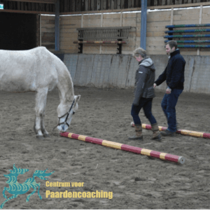 Paard Paarden Paardencoaching Coaching Persoonlijke Ontwikkeling Motivatie Pony Verdriet Blijdschap Verandering Stress Verhaal Loslaten Vertrouwen Emotie PK Ik Samen Leiden Volgen Tijd Maken Lachen Zwanger Zelfinzicht Balans Acceptatie Chronische Pijn Psychologie Automutilatie Praktijkverhaal Metoo #Metoo Boekrecensie Paardentaal Paardenboek Hart TV Coachreis Oefeningen Equiday Dialoog Mens Verlies Verwerking Zelfcompassie Groep Trauma Gevoel Ervaring Coachpaard Positief Denken