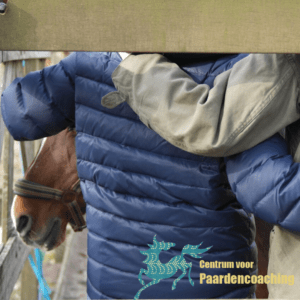 Paard Paarden Paardencoaching Coaching Persoonlijke Ontwikkeling Motivatie Pony Verdriet Blijdschap Verandering Stress Verhaal Loslaten Vertrouwen Emotie PK Ik Samen Leiden Volgen Tijd Maken Lachen Zwanger Zelfinzicht Balans Acceptatie Chronische Pijn Psychologie Automutilatie Praktijkverhaal Metoo #Metoo Boekrecensie Paardentaal Paardenboek Hart TV Coachreis Oefeningen Equiday Dialoog Mens Verlies Verwerking Zelfcompassie Groep Trauma Gevoel Ervaring Coachpaard Positief Denken