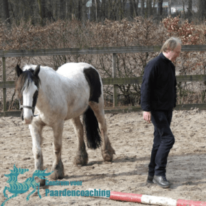Paard Paarden Paardencoaching  Coaching Persoonlijke Ontwikkeling Motivatie Pony Verdriet Blijdschap Verandering Stress Verhaal Loslaten Vertrouwen Emotie PK Ik Samen Leiden Volgen Tijd Maken Lachen Zwanger Zelfinzicht Balans Acceptatie Chronische Pijn Psychologie Automutilatie Praktijkverhaal Metoo #Metoo Boekrecensie Paardentaal Paardenboek Hart TV Coachreis Oefeningen Equiday Dialoog Mens Verlies Verwerking Zelfcompassie Groep Trauma Gevoel Ervaring Coachpaard Positief Denken