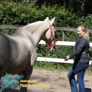 Paard Paarden Paardencoaching  Coaching Persoonlijke Ontwikkeling Motivatie Pony Verdriet Blijdschap Verandering Stress Verhaal Loslaten Vertrouwen Emotie PK Ik Samen Leiden Volgen Tijd Maken Lachen Zwanger Zelfinzicht Balans Acceptatie Chronische Pijn Psychologie Automutilatie Praktijkverhaal Metoo #Metoo Boekrecensie Paardentaal Paardenboek Hart TV Coachreis Oefeningen Equiday Dialoog Mens Verlies Verwerking Zelfcompassie Groep Trauma Gevoel Ervaring Coachpaard Positief Denken