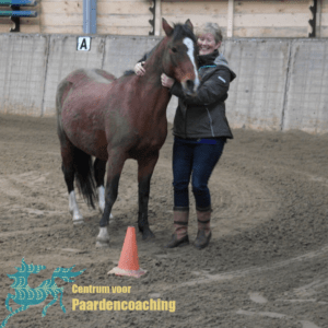Paard Paarden Paardencoaching  Coaching Persoonlijke Ontwikkeling Motivatie Pony Verdriet Blijdschap Verandering Stress Verhaal Loslaten Vertrouwen Emotie PK Ik Samen Leiden Volgen Tijd Maken Lachen Zwanger Zelfinzicht Balans Acceptatie Chronische Pijn Psychologie Automutilatie Praktijkverhaal Metoo #Metoo Boekrecensie Paardentaal Paardenboek Hart TV Coachreis Oefeningen Equiday Dialoog Mens Verlies Verwerking Zelfcompassie Groep Trauma Gevoel Ervaring Coachpaard Positief Denken