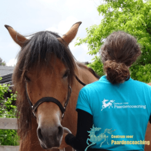 Paard Paarden Paardencoaching Coaching Persoonlijke Ontwikkeling Motivatie Pony Verdriet Blijdschap Verandering Stress Verhaal Loslaten Vertrouwen Emotie PK Ik Samen Leiden Volgen Tijd Maken Lachen Zwanger Zelfinzicht Balans Acceptatie Chronische Pijn Psychologie Automutilatie Praktijkverhaal Metoo #Metoo Boekrecensie Paardentaal Paardenboek Hart TV Coachreis Oefeningen Equiday Dialoog Mens Verlies Verwerking Zelfcompassie Groep Trauma Gevoel Ervaring Coachpaard Positief Denken