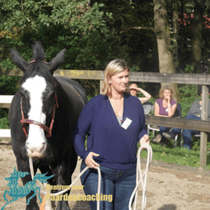Paard Paarden Paardencoaching  Coaching Persoonlijke Ontwikkeling Motivatie Pony Verdriet Blijdschap Verandering Stress Verhaal Loslaten Vertrouwen Emotie PK Ik Samen Leiden Volgen Tijd Maken Lachen Zwanger Zelfinzicht Balans Acceptatie Chronische Pijn Psychologie Automutilatie Praktijkverhaal Metoo #Metoo Boekrecensie Paardentaal Paardenboek Hart TV Coachreis Oefeningen Equiday Dialoog Mens Verlies Verwerking Zelfcompassie Groep Trauma Gevoel Ervaring Coachpaard Positief Denken