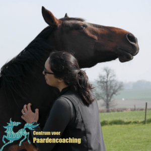 Paard Paarden Paardencoaching  Coaching Persoonlijke Ontwikkeling Motivatie Pony Verdriet Blijdschap Verandering Stress Verhaal Loslaten Vertrouwen Emotie PK Ik Samen Leiden Volgen Tijd Maken Lachen Zwanger Zelfinzicht Balans Acceptatie Chronische Pijn Psychologie Automutilatie Praktijkverhaal Metoo #Metoo Boekrecensie Paardentaal Paardenboek Hart TV Coachreis Oefeningen Equiday Dialoog Mens Verlies Verwerking Zelfcompassie Groep Trauma Gevoel Ervaring Coachpaard Positief Denken