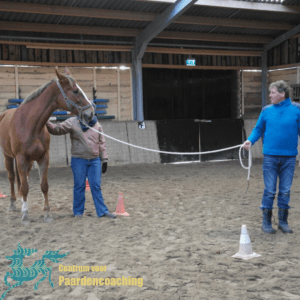 Paard Paarden Paardencoaching  Coaching Persoonlijke Ontwikkeling Motivatie Pony Verdriet Blijdschap Verandering Stress Verhaal Loslaten Vertrouwen Emotie PK Ik Samen Leiden Volgen Tijd Maken Lachen Zwanger Zelfinzicht Balans Acceptatie Chronische Pijn Psychologie Automutilatie Praktijkverhaal Metoo #Metoo Boekrecensie Paardentaal Paardenboek Hart TV Coachreis Oefeningen Equiday Dialoog Mens Verlies Verwerking Zelfcompassie Groep Trauma Gevoel Ervaring Coachpaard Positief Denken
