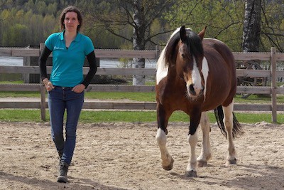 Paardencoaching