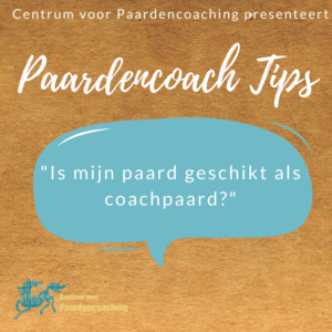 Is mijn paard geschikt als coachpaard