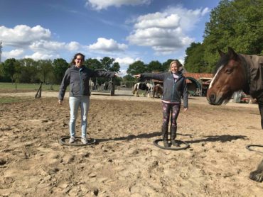 voorzorgsmaatregelen bij paardencoaching