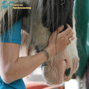 Neus van paard met hand erop.